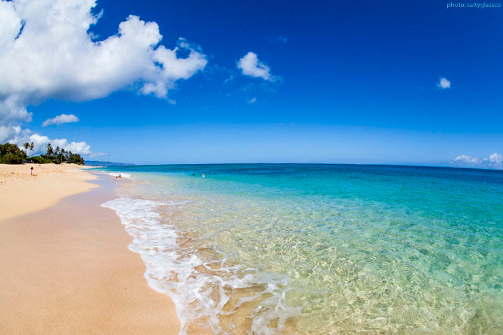 Best of the North Shore Food scene