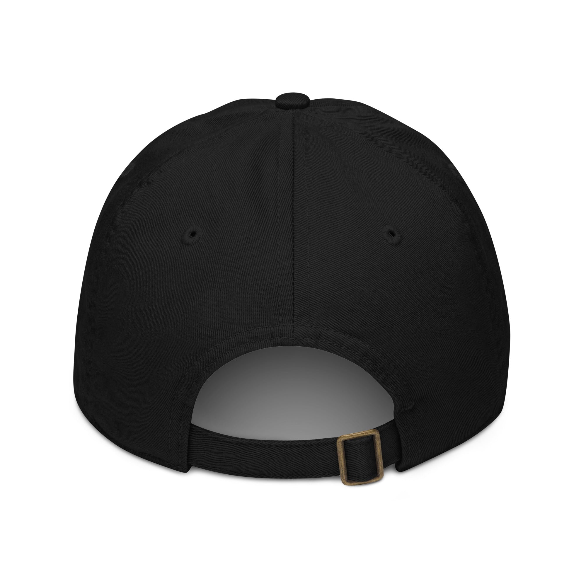 dad hat with 'HALE'IWA SALT CO.'